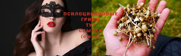а пвп мука Абаза